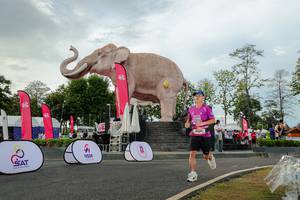 BIB: 
                            <button type="button" onclick="openModal(26528426)" class="btn btn-primary btn-sm float-right btn-popup" data-toggle="modal" data-target=".modal-high-quality">
                        <i class="fas fa-shopping-cart"></i> Add to Cart
                    </button>
                                            <button type="button" onclick="isThisMe(26528426, true)" class="btn btn-success btn-sm float-right btn-popup btn-isme hidden" data-toggle="tooltip" data-placement="bottom" title="นี่คือรูปของคุณใช่ไหม คลิกที่นี่เพื่อเอาเข้าอัลบั้ม">
                        <i class="fas fa-plus"></i> Add to album
                    </button>
                    <button type="button" onclick="isThisMe(26528426, false)" class="btn btn-warning btn-sm float-right btn-popup btn-isnotme hidden">
                        <i class="fas fa-ban"></i> Remove from album
                    </button>